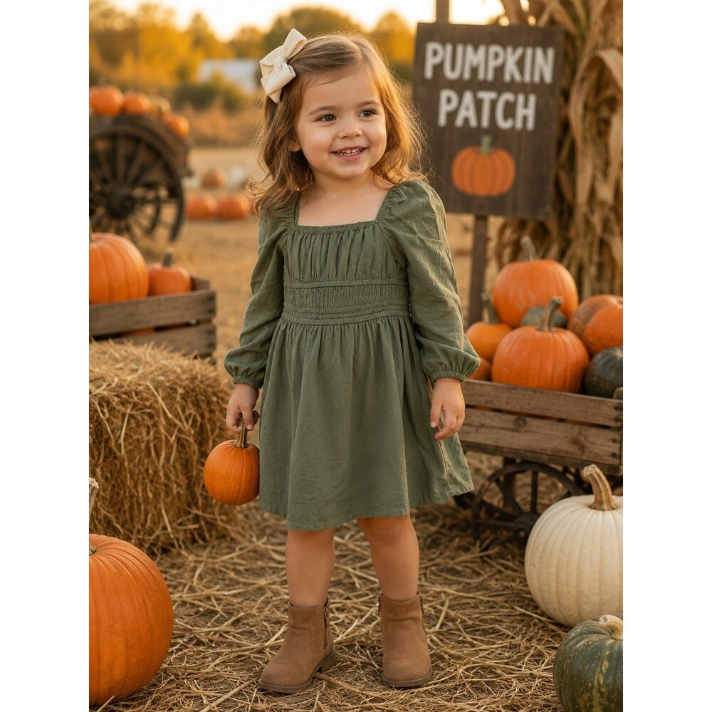 GB Girls Toddler Size 4 Olive Green Smocked Long Sleeve Dress NWT